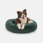 Cama Pacco Nala Boucle Verde Redonda